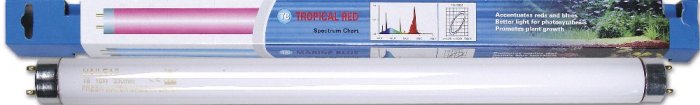 HAILEA zařiv.TROPI RED 10w 33cm T8